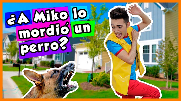 A DOG ATTACKS MIKO / SHOW ROCK PAPER SCISSORS / A DOG SCARED ME / ANIMALS