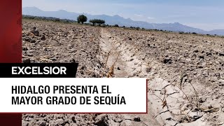 Sin siembras en Hidalgo por sus niveles más altos de sequía
