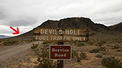 Nevada's Devils Hole - Portal to an Underworld Area 51- Las Vegas 