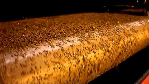 MudCube in Operation