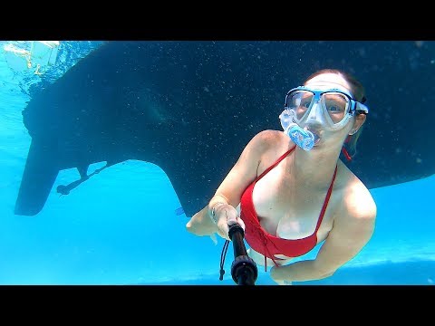 Sexy Girl Swimming Under A Boat