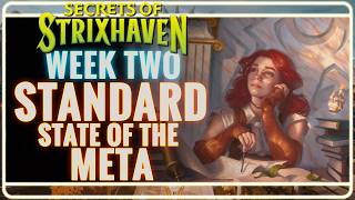 Celebrity Why This Deck Dominated Pro Tour Profile