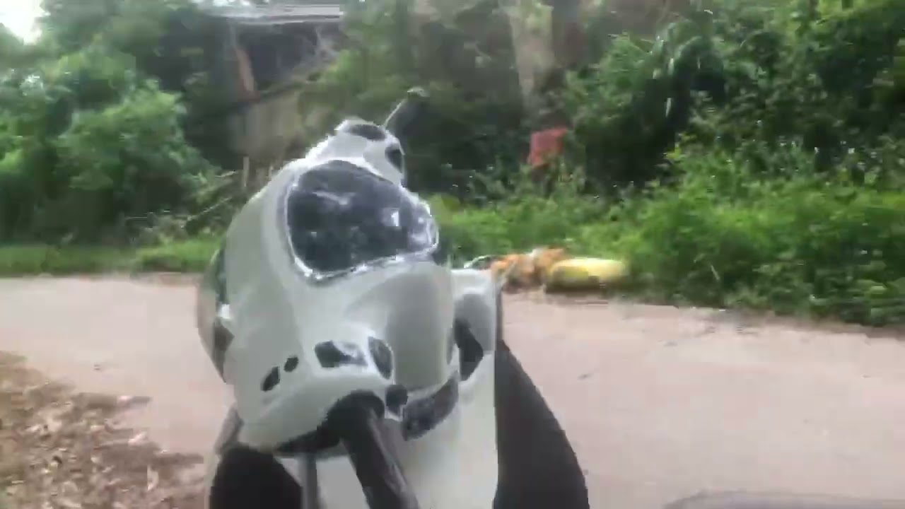 Finding Bliss: Embracing the Joyous Moments of Today