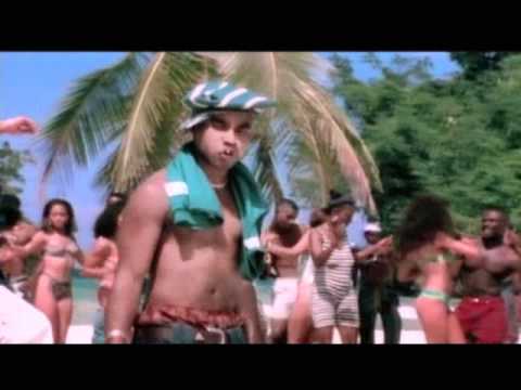 Shaggy - In the summertime (Extended Caspol DVJ FULL)