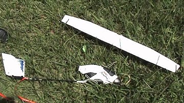 Firebird Phantom Flying With MicheleMidnight