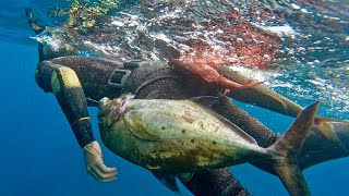 Spearfishing Deep Reef For HUGE Yellowspot, Ukus, And More! | Yellowspot Papio Catch And Cook