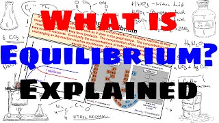 What is Equilibrium - Explained