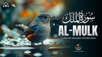 Surah Al-Mulk سورة الملك | Majestic Quranic Verses Peaceful Sleep & Emotional Serenity #surahmulk