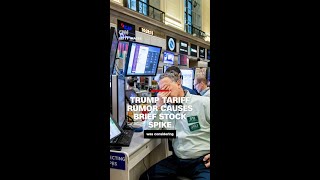 Trump tariff rumor causes brief stock spike