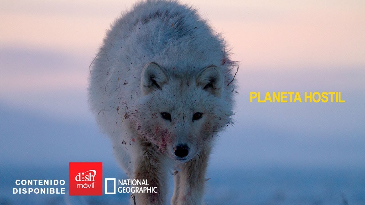 Planeta Hostil