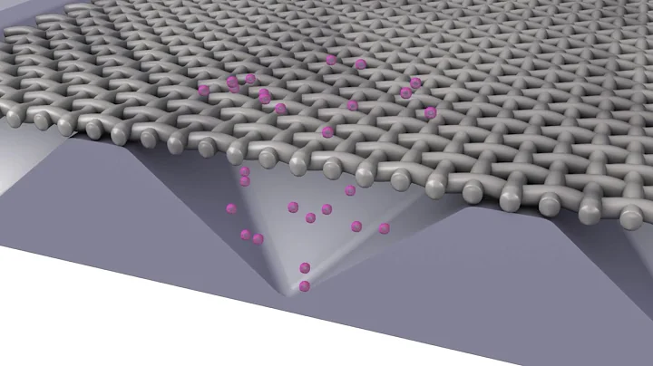 The Microwell-mesh animation