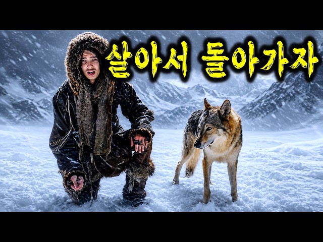늑대와 호랑이 덕분에 마음이 따듯해지는 동물 걸작 몰아보기 (결말포함)