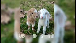 karabiberim--speed up