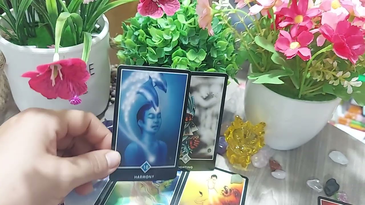 Trăng tròn có thông điệp gì cho bạn . 