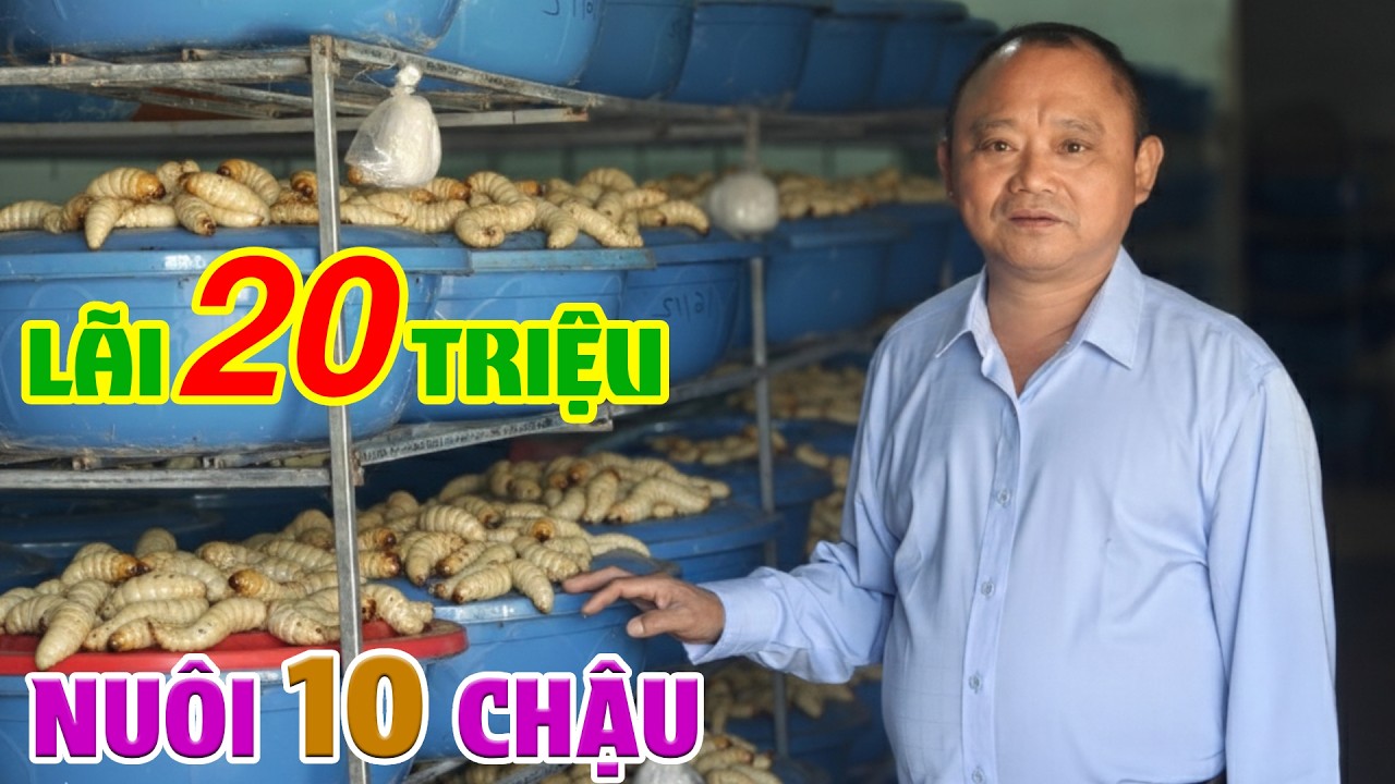 Đầu Tư 10 Triệu, 50 Ngày Lãi Hơn 20 Triệu – Mô Hình Nuôi Đuông Dừa Thái Lan Xuất Khẩu