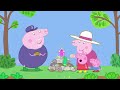 Peppa Pig | Grandma's Rock Garden | Peppa Pig Official | Family Kids Cartoon