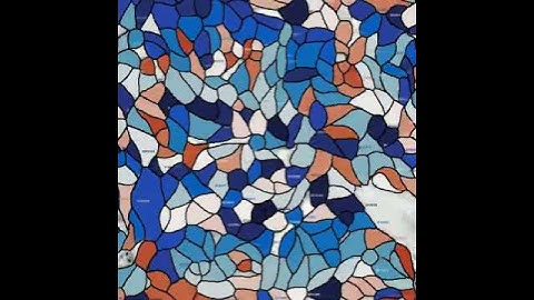 TrackMate - Cellpose #pattern #science #cellnematics #activematter #livingmatter