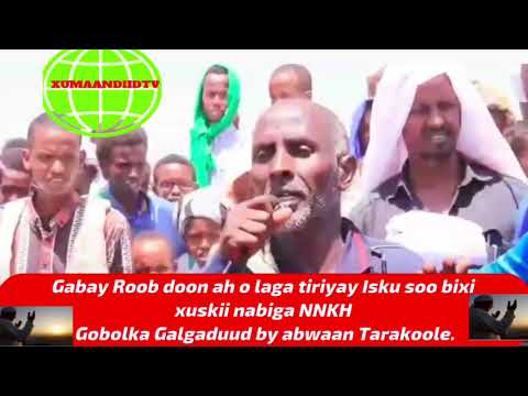 Gabay Roob Doon Ah O Laga Tiriyay Isku Soo Bixi Xuskii Nabiga NNKH Gobolka Galgaduud By Abwaan