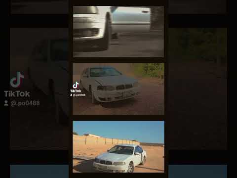 الله يبارك الكبيده غاليه طاولون ياكبدي