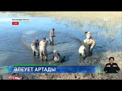 Биыл кіші Арал