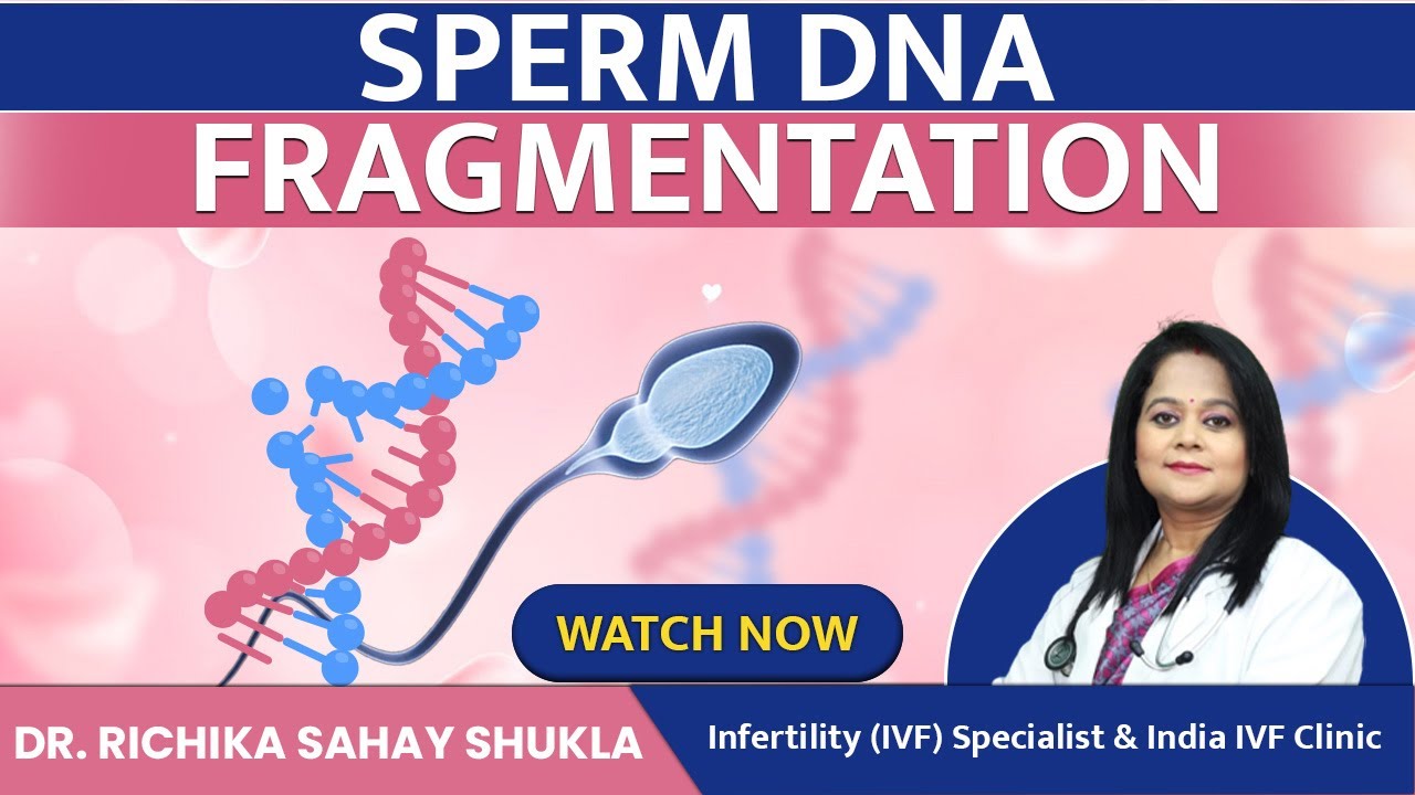 Sperm DNA Fragmentation Test Before IVF Treatment Dr. Richika Sahay