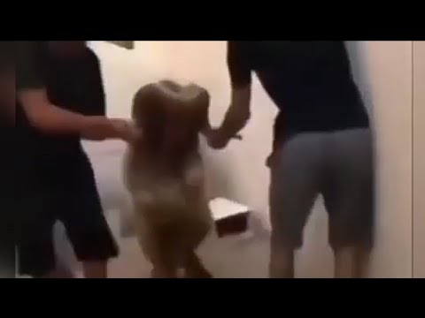 الخروف عنتر يبي ينقذ عبله