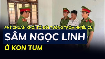 Phê chuẩn khởi tố đối tượng trộm nhiều củ sâm Ngọc Linh ở Kon Tum