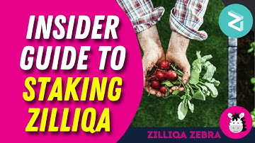 The Insider Guide to Staking Zilliqa