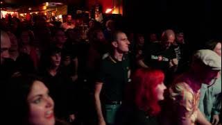 THE MAGNETICS 'Cinderella' -  Reggae Ska Rocksteady Live Gig at 'Cortina Bob' Berlin