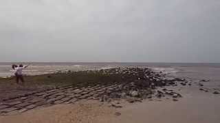 Callants Keeten Meeuwen