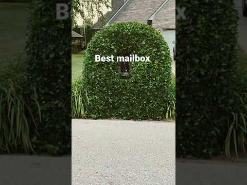 Best mailbox of