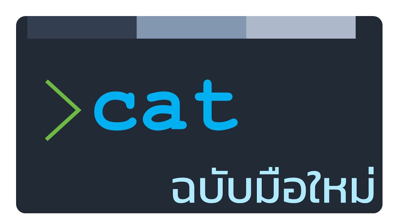 สอนใช้ cat (concatenate) ฉบับมือใหม่ เทคนิคที่ต้องรู้ในการแสดงข้อมูลใน ...