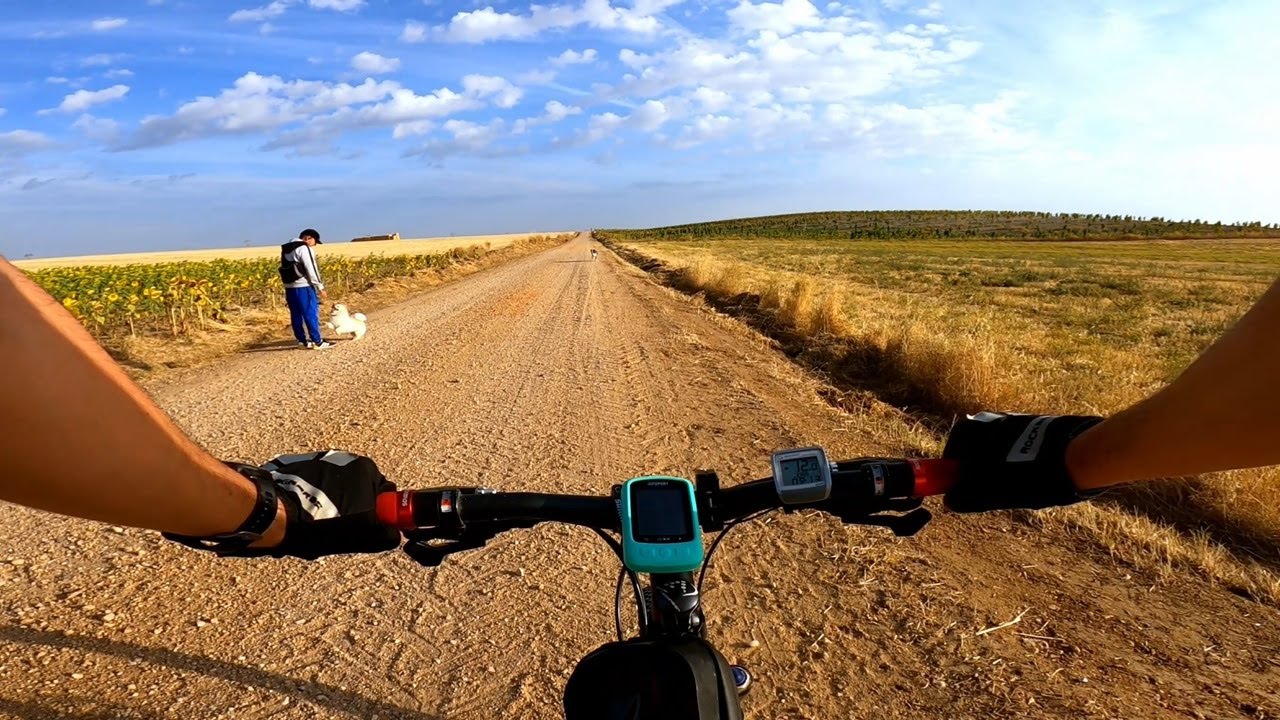 Vía de la Plata, etapa 6/7: Salamanca - Barcial del Barco  | 31 de agosto del 2024