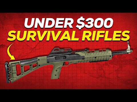 Top 10 Incredible Survival Rifles Under 300 That Preppers Desperately Need To Know About 