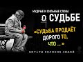 Мудрые Цитаты О Судьбе, До Слёз Сильные Слова Великих Людей, Судьба, Жизнь, Отношения, Любовь СУДЬБА