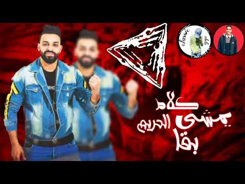 حاله وتس فجره من مهرجان محدش يقلي يقلي يصحبي زيزو النوبي وفيلو