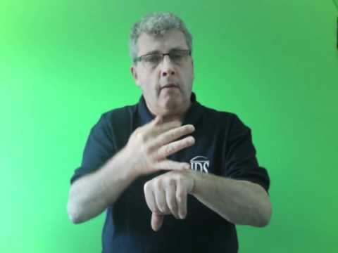 Irish Deaf News 81