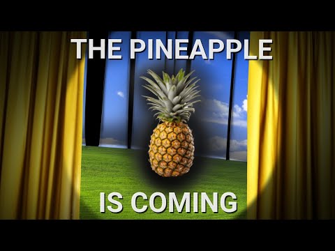 L'ananas arrive