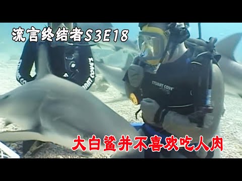 流言终结者：6米大白鲨并不喜欢吃人肉，大家都被电影情节骗了（S3E8）