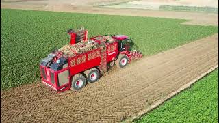 Rübemroden mit einem neuen Holmer Terra Dos 5 [Maschinering Rheinland West ]