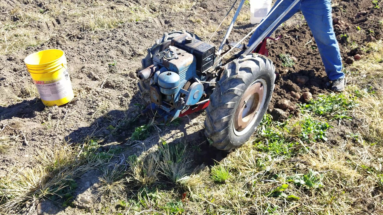 David Bradley Super 600 Plowing Potatoes