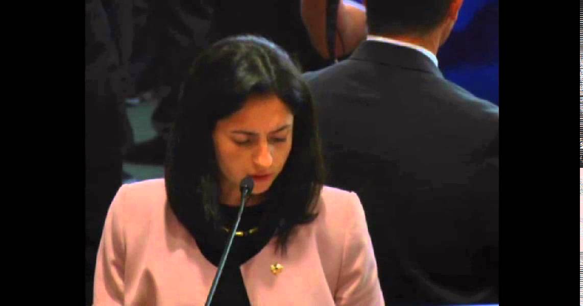 The Turkish Consul General of Los Angeles Raife Gulru Gezer's speech at the Carson City Council