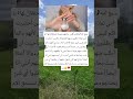 سمع أمه تطلب من اكسبلور اقنباسات معلومات ذواقه لايك علم النفس متابعه اقتباسات Music 