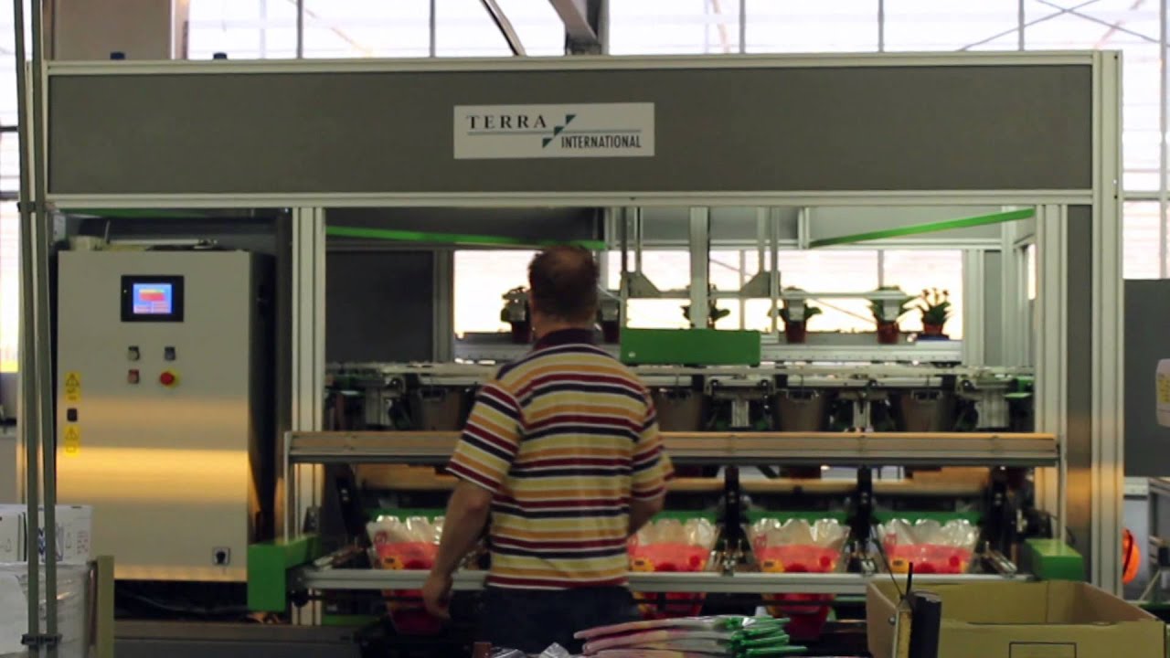 Hortilock®: Efficient inhoezen van potplanten!