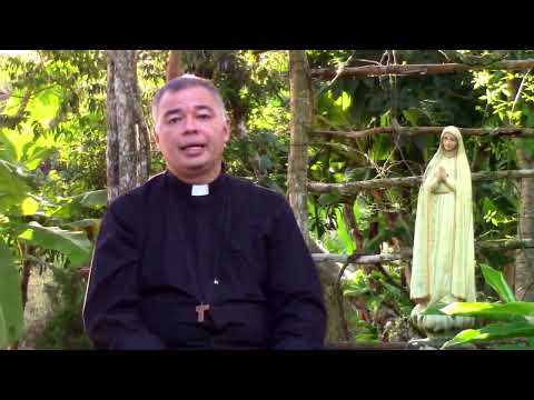 Santo Rosário Meditado pelos padres da Paróquia do Carmo