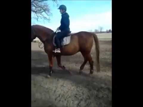 mamik na Bomblu :D - YouTube