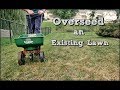 How To Overseed An Existing Lawn - Fall Lawn Renovation and Overseeding Step 4