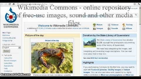 Wikipedia tutorial video :)