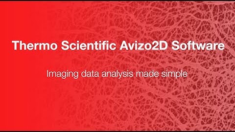 Avizo2D Software for materials research | Product Tour