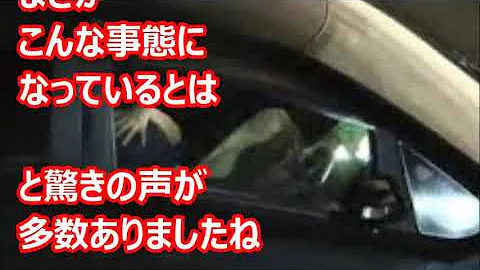 تحميل 早川美奈 تحميل 早川美奈